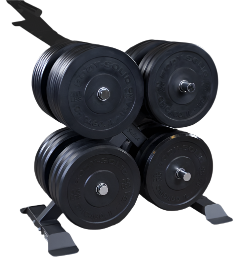 BODY SOLID GWT66 WEIGHT PLATE STORAGE RACK - Fitness Specialist