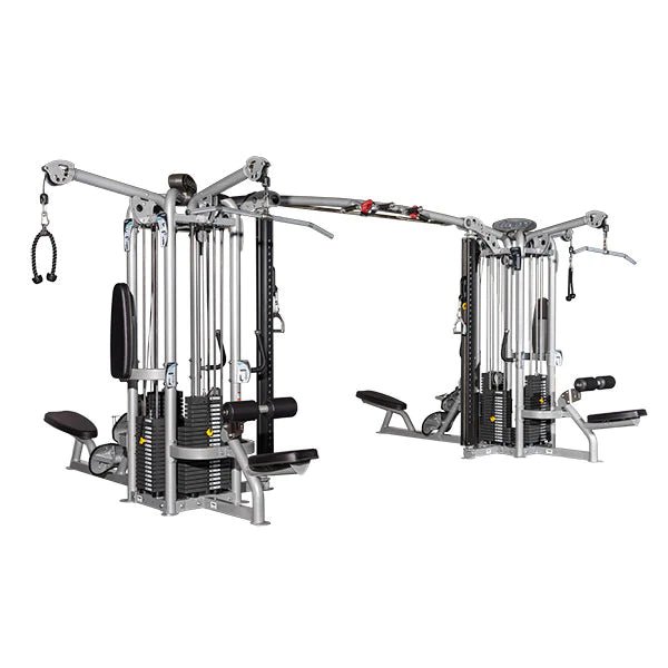 Hoist Dual Pod Jungle Gym - Fitness Specialist