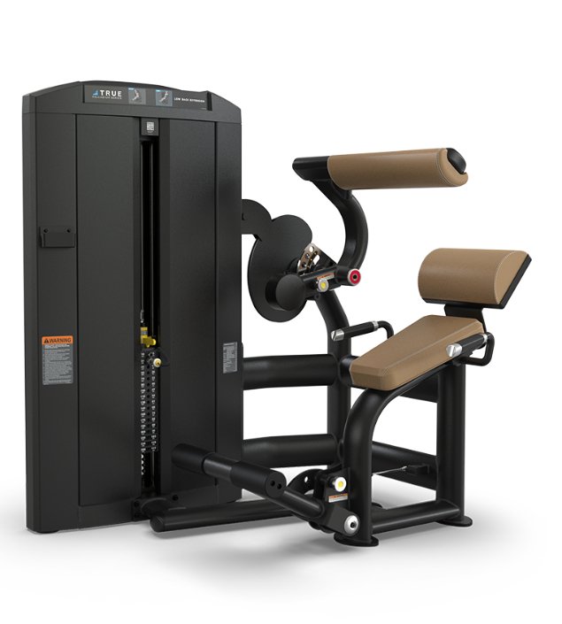 True Fitness Palladium Low Back Extension SPL - 1300 - Fitness Specialist