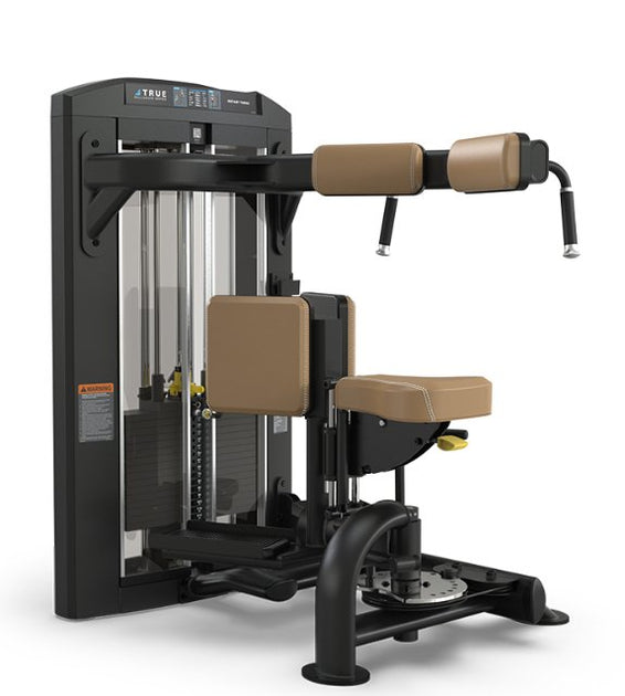 TRUE Palladium SPL-1500 Rotary Torso – Commercial Core Machine Fitness ...