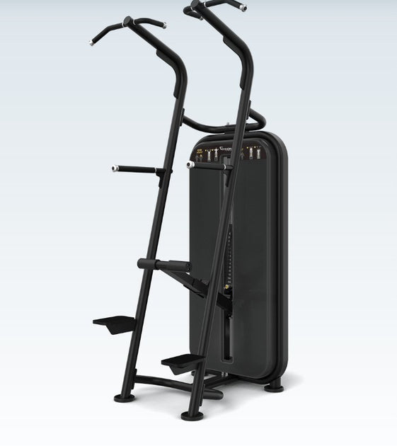 Vision Fitness VST600 S601 Chin & Dip Assist Machine – Fitness